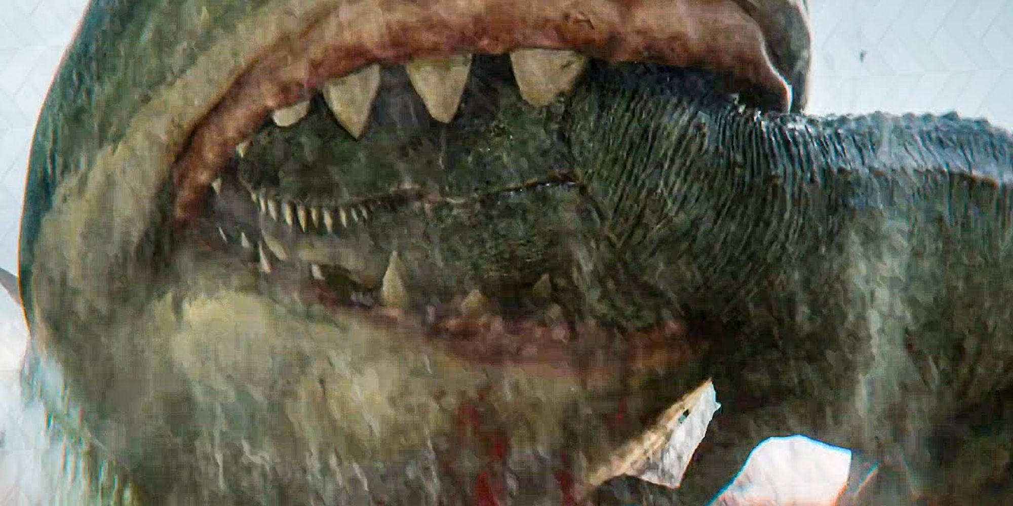 Every Real Creature In Meg 2 Explained