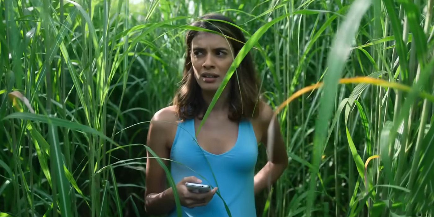 Explicación del final de In the Tall Grass de Netflix