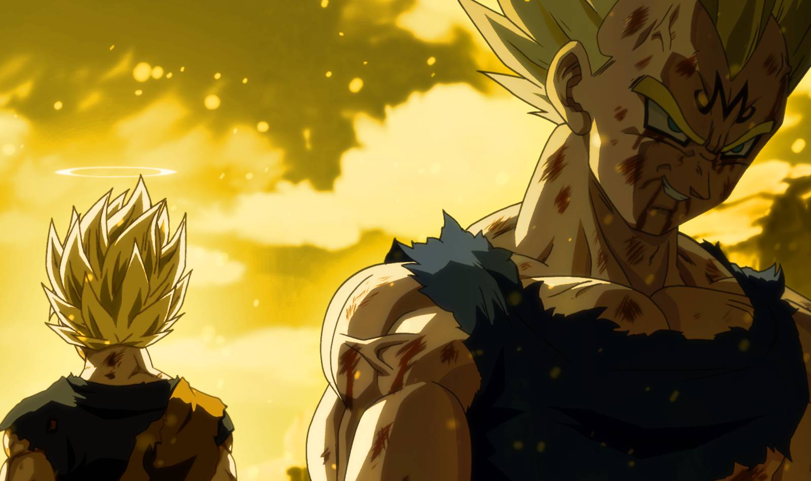 Every Goku \u0026 Vegeta Fight In Dragon Ball History, Ranked, image size:1600x950