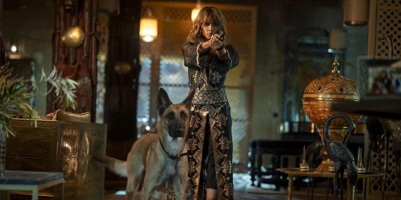 John Wick 3's Dog Action Scenes Get A Surprising Amount Right ...