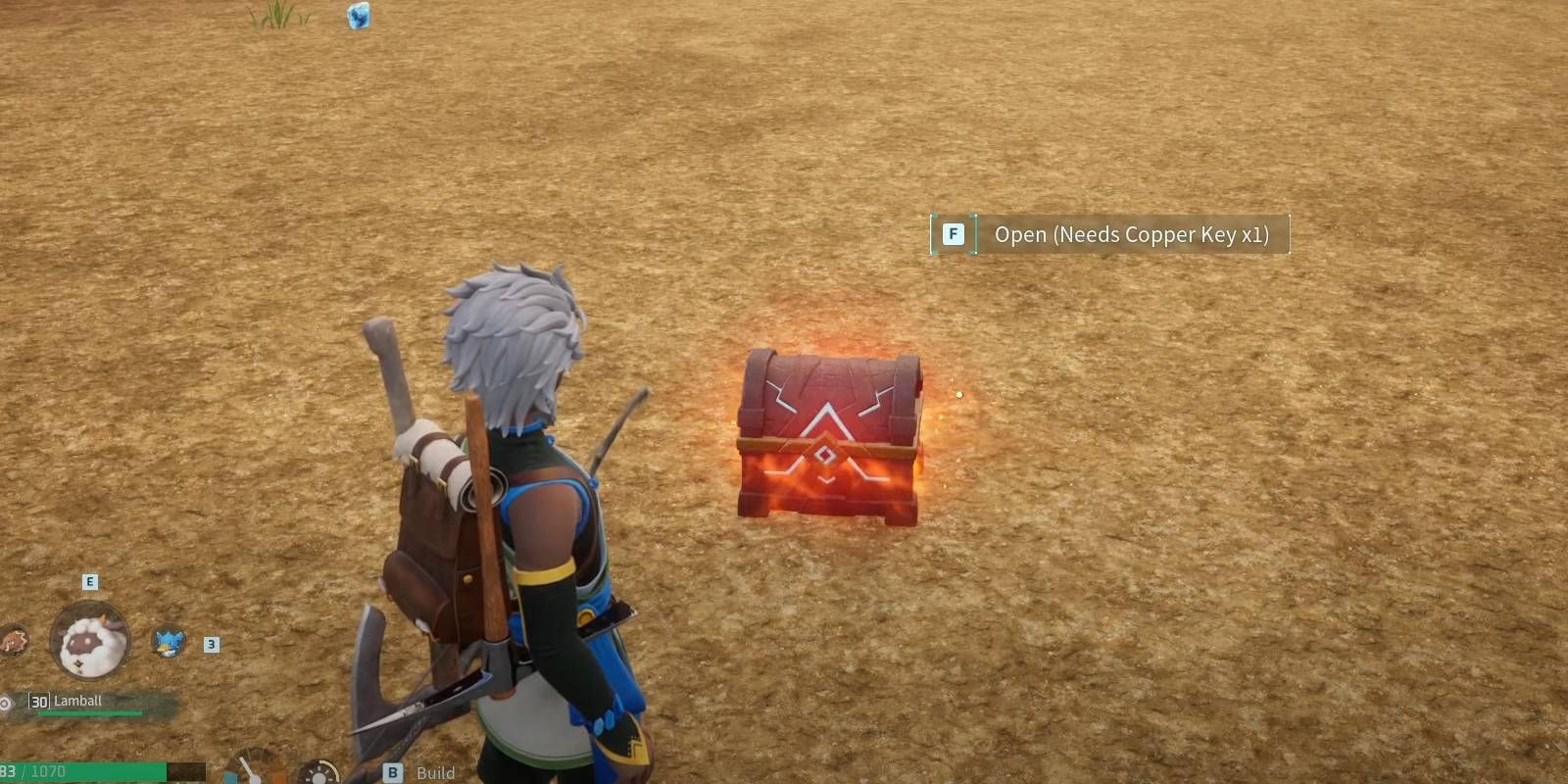 What Are Palworld Dog Coins & What Can They Be Used For?