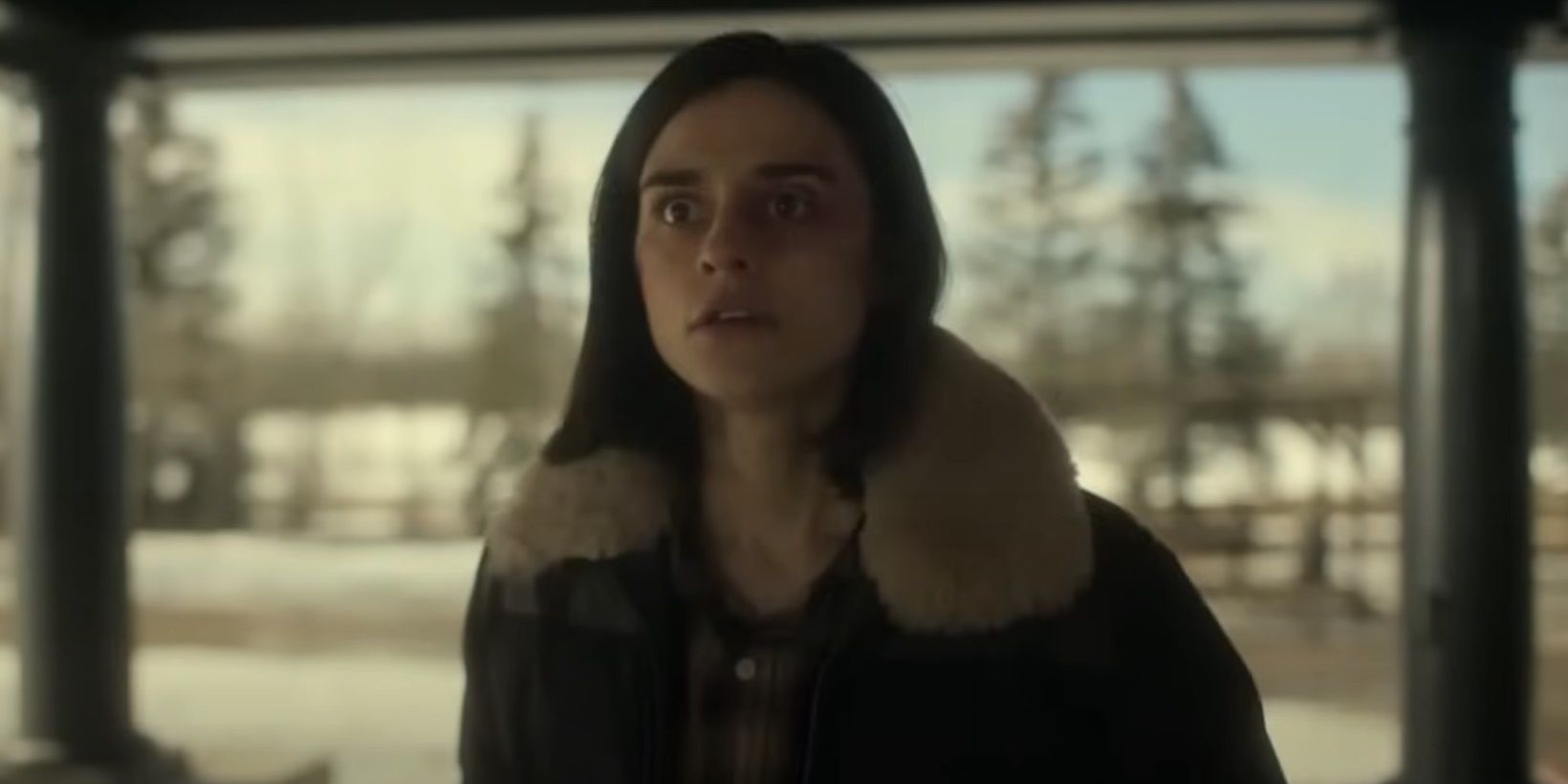 Fargo Season 5 Ending Explained: What Happens To Dot & Roy