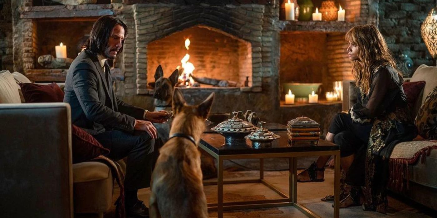 John Wick 3’s Dog Training Took Longer Than The Movie’s Shooting ...