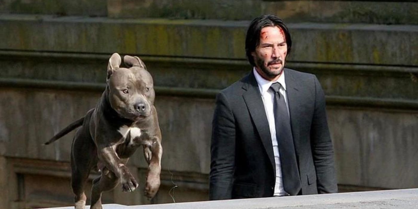 Christopher Lloyds Nobody 2 Role Confirms The Franchises Biggest John Wick Difference