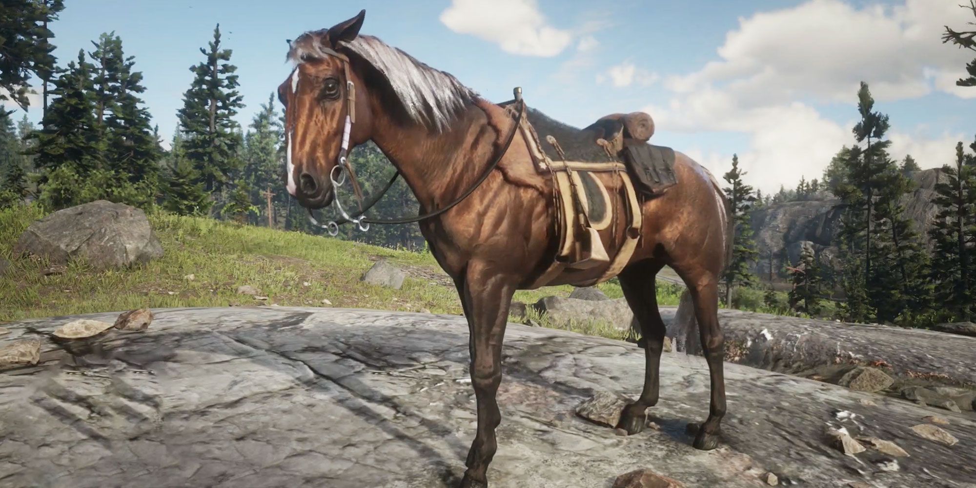 All 19 Red Dead Redemption 2 Horses, Ranked From Worst To Best