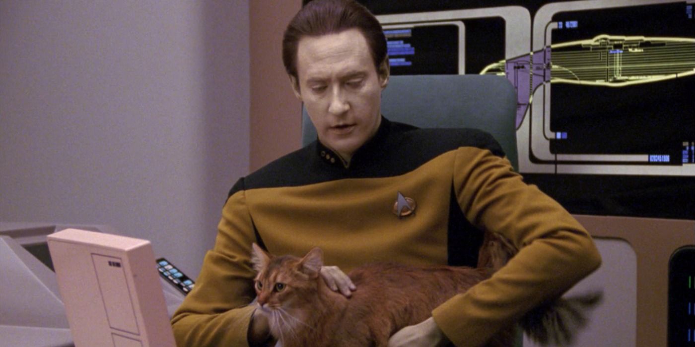 El amor de Data por los gatos en Star Trek tiene un giro irónico en la vida real