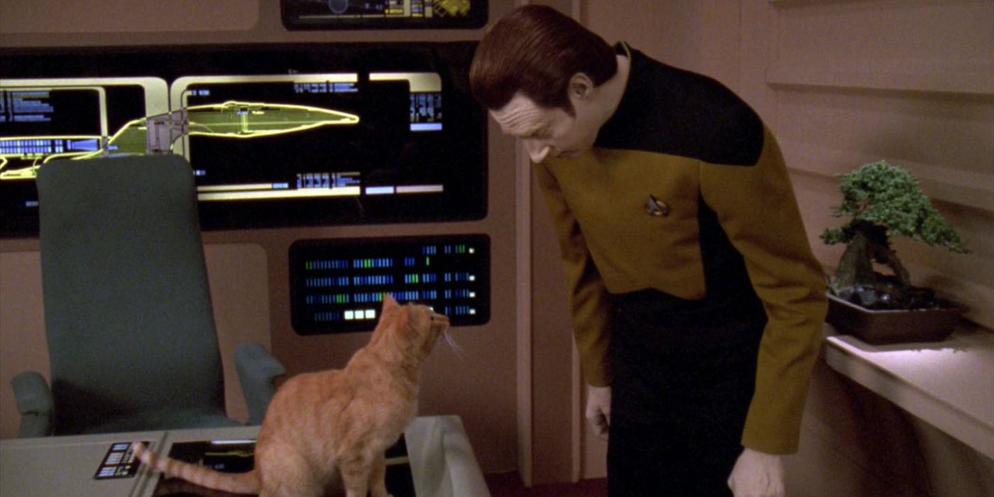 El amor de Data por los gatos en Star Trek tiene un giro irónico en la vida real