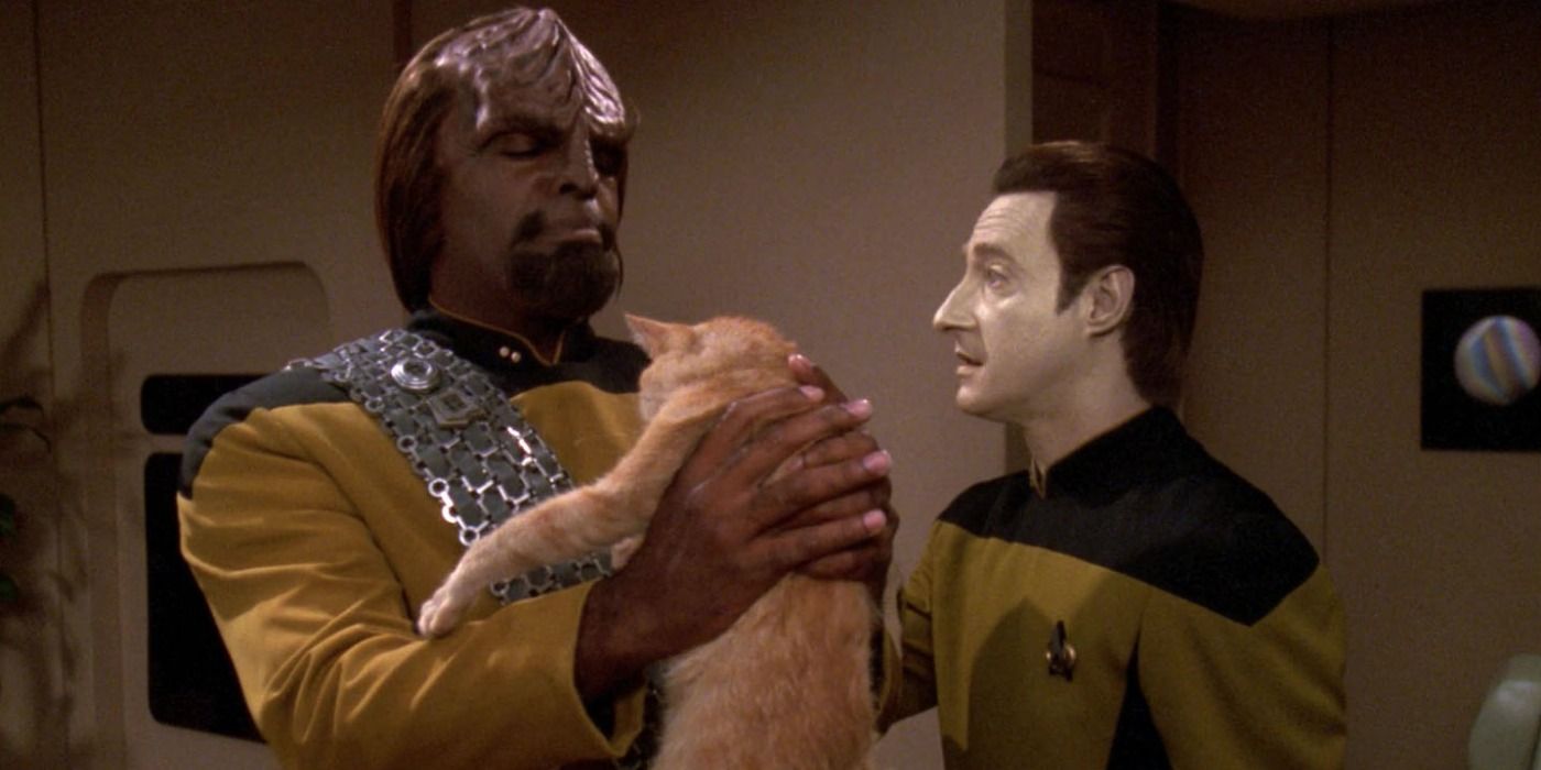 El amor de Data por los gatos en Star Trek tiene un giro irónico en la vida real