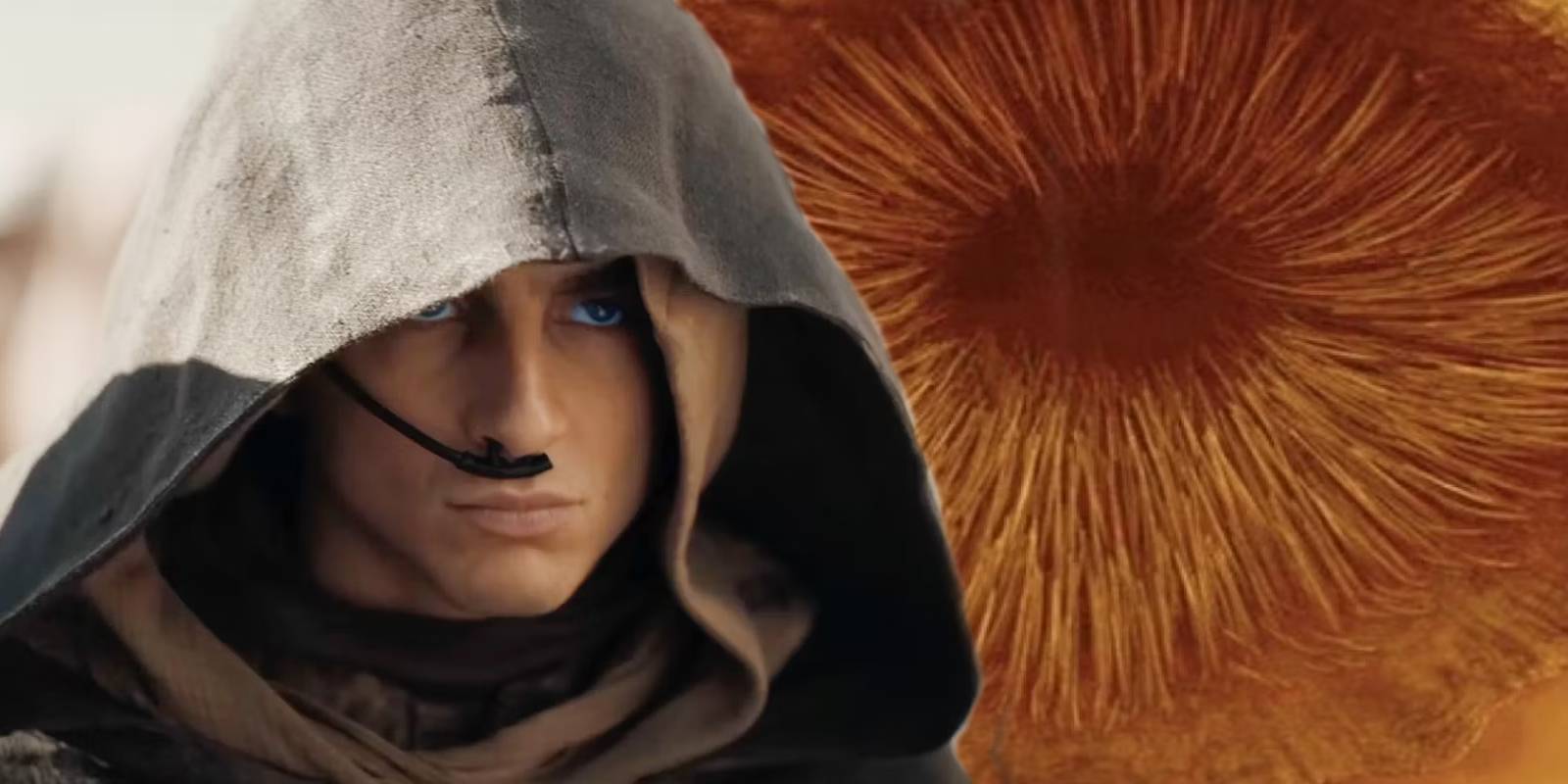 Meaning Of Paul's Sandworm Riding Scene In Dune 2 Explained In Depth By ...