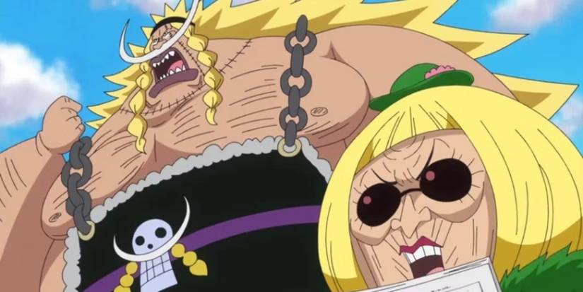 weevil and buckin