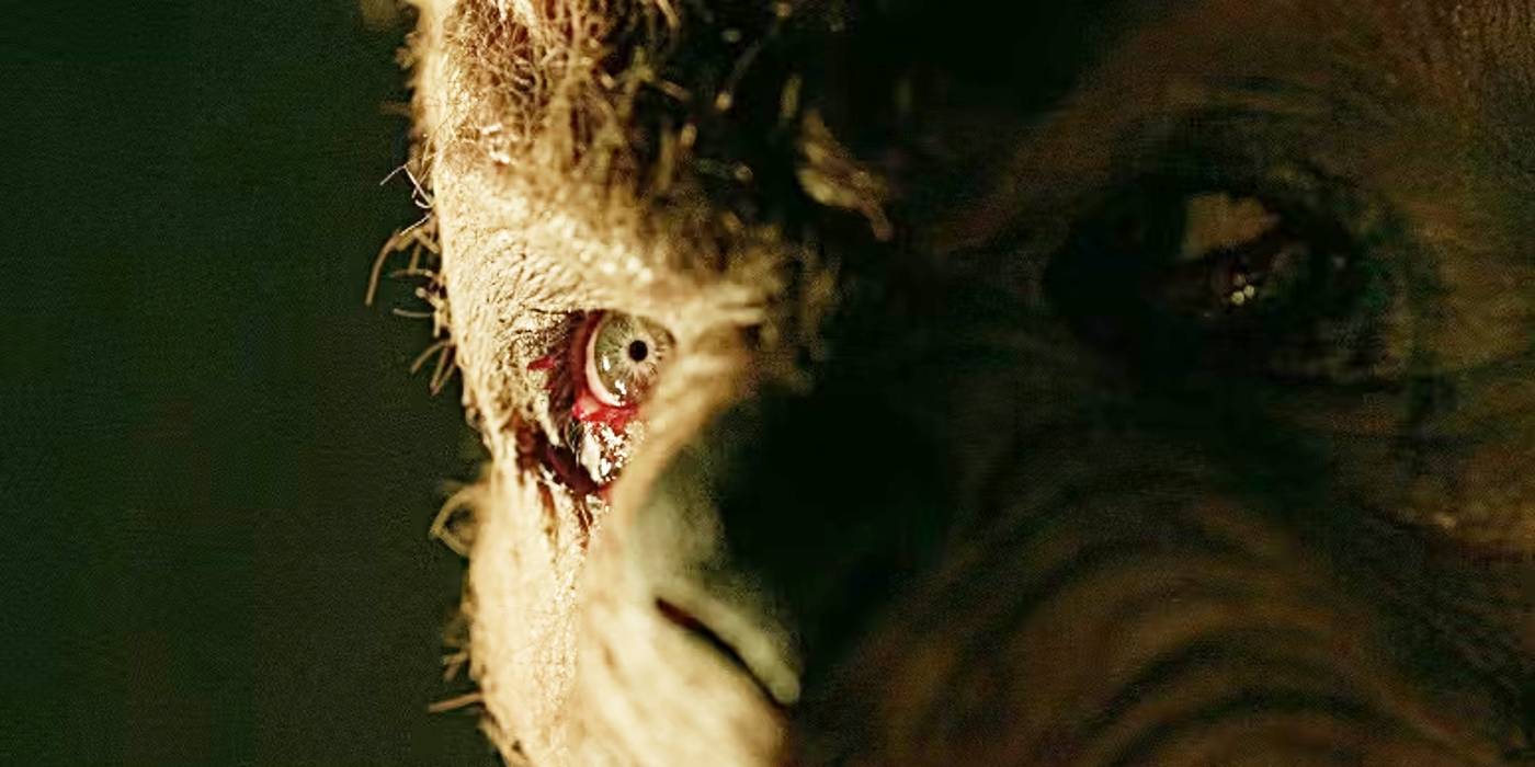 Pooh Angry Blood And Honey 2: Release Date, Cast, Story, Trailer & Everything We ...