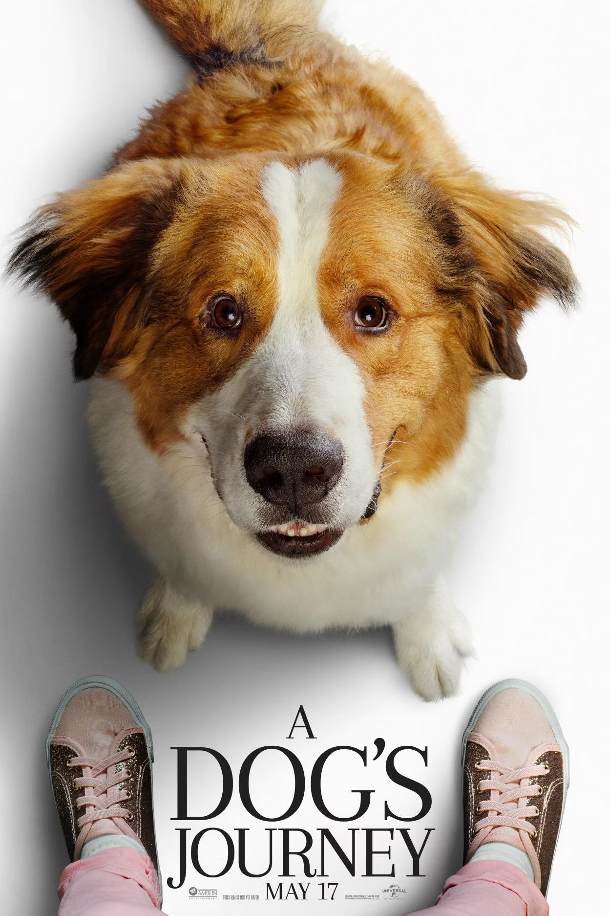 A Dog&rsquo;s Journey