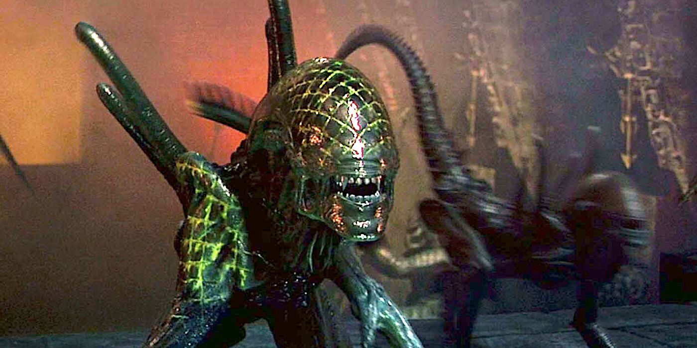 Which Movies You Should Watch Before Alien: Romulus (& Which You Can Skip)