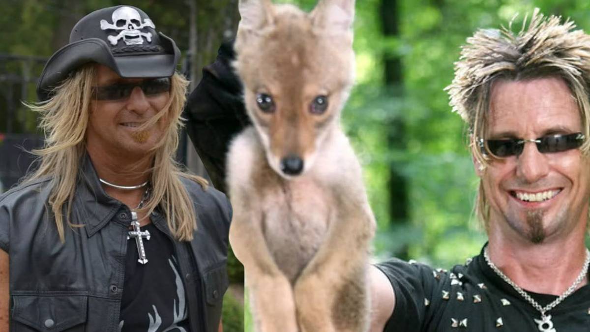 16 Secrets Behind Billy The Exterminator You Had No Idea About