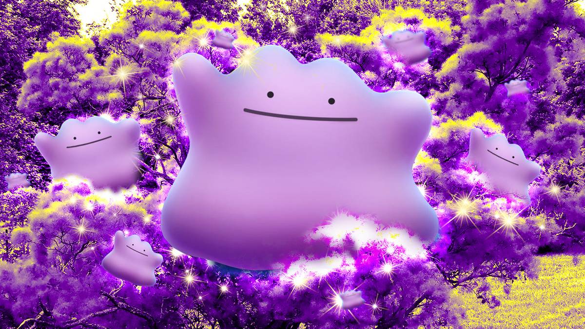 pokemon go cards shiny ditto 2022 Pokmon Japanese Holo 053/071 CGC 9.5 Gem Mint Oblivion Collectibles style setup or your main portfolio Pokemon Go set reveals rare