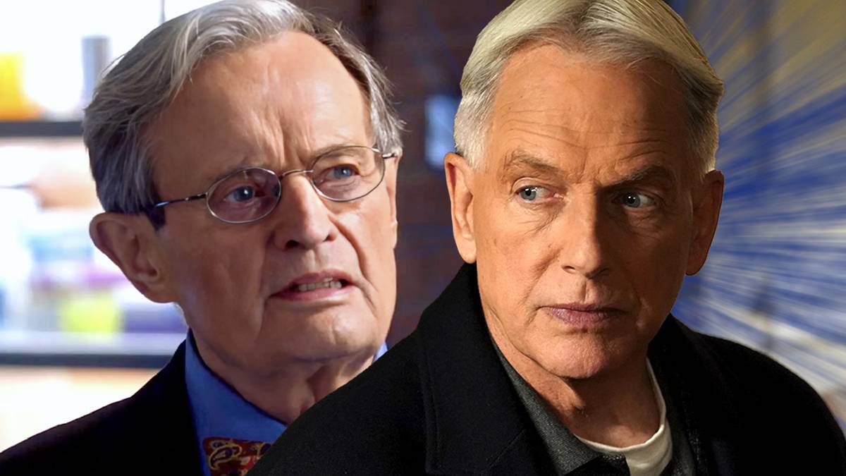 Gibbs' Absence In NCIS Season 21 Ducky Tribute Episode Candidly Explained  By Co-Showrunner