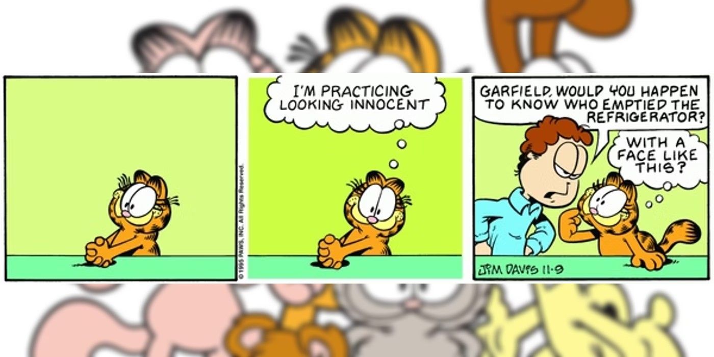 The Evolution of Garfield's Character Design Over the Decades