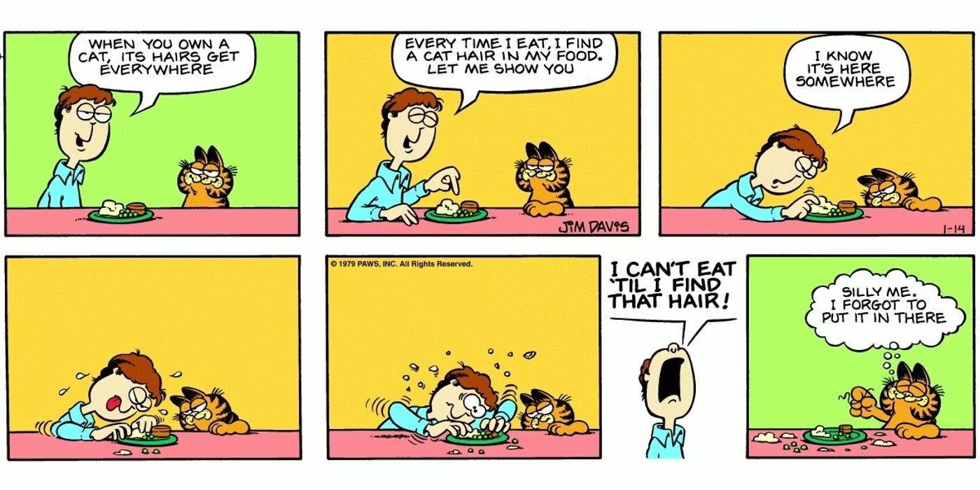 The Evolution of Garfield's Character Design Over the Decades