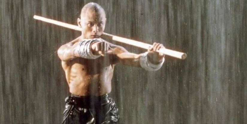 Why thirty sixth Chamber Is The Greatest Martial Arts Trilogy Ever Made
