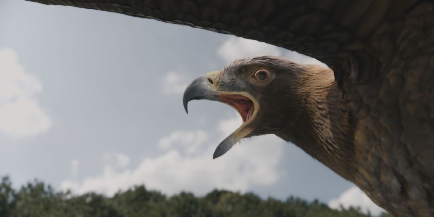 10 Funniest Scenes From Strays, Ranked