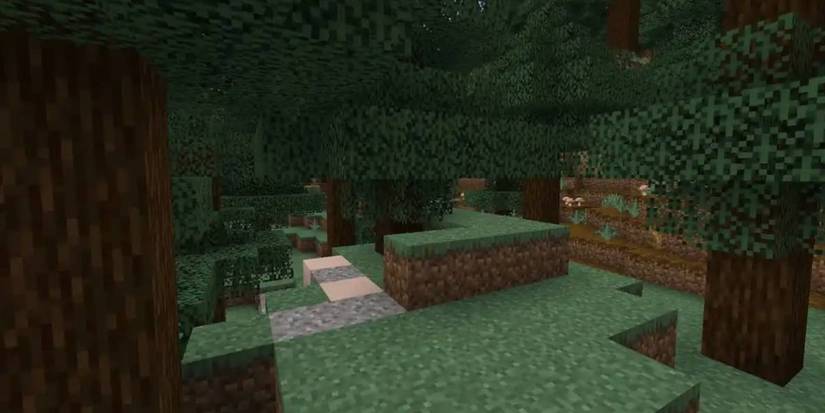 10 Best Minecraft Seeds For Trail Ruins