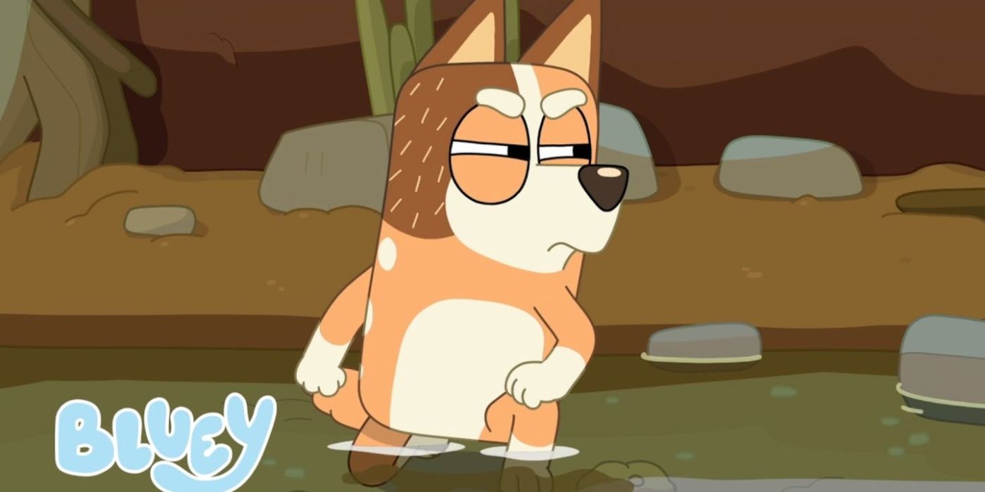 13 Wild Bluey Fan Theories We’re Starting To Believe