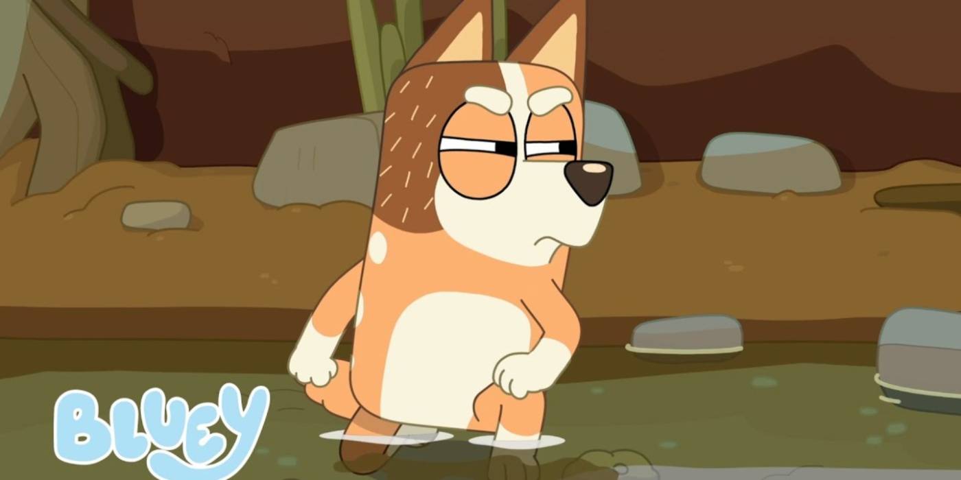 Chilli Parents Bluey's Heeler Family Tree Explained: How The Characters Are Related
