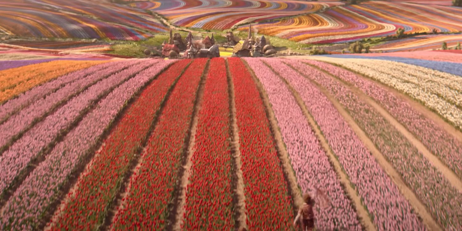 Rows of colorful flowers in the land of Oz in the Wicked trailer