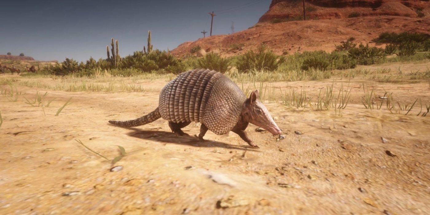 An Armadillo roaming the plains of New Austin in Red Dead Redemption 2