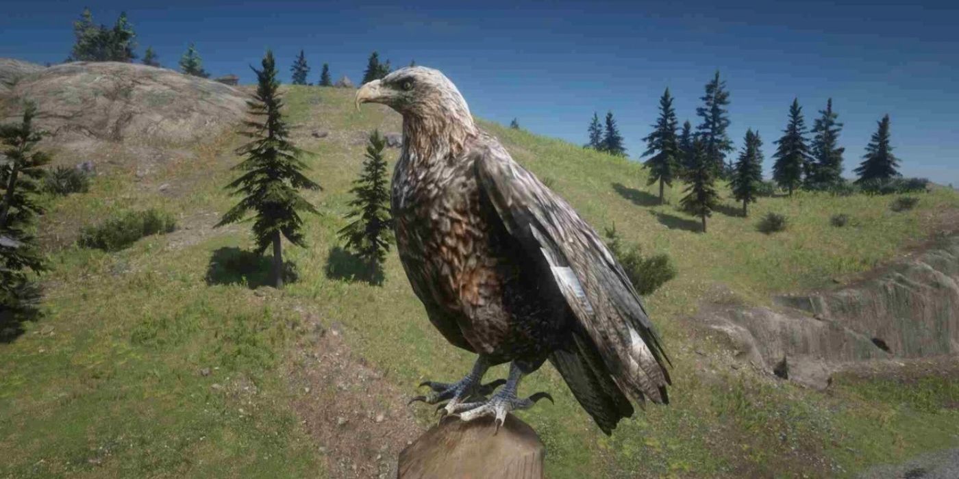 A Bald Eagle sitting on a perch in front of trees in the mountains in Red Dead Redemption 2 