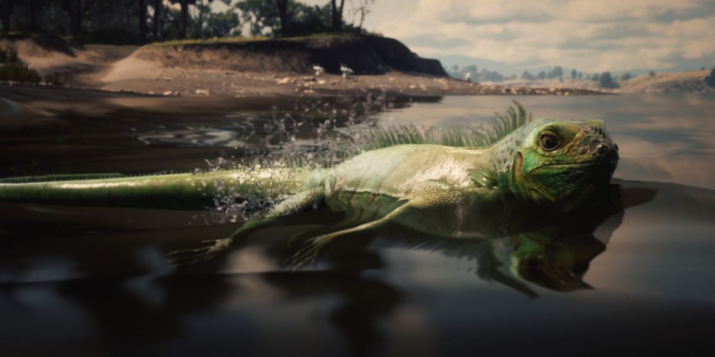 10 Coolest Red Dead Redemption 2 Animals To Hunt Or Catch