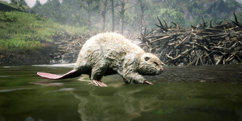 10 Coolest Red Dead Redemption 2 Animals To Hunt Or Catch