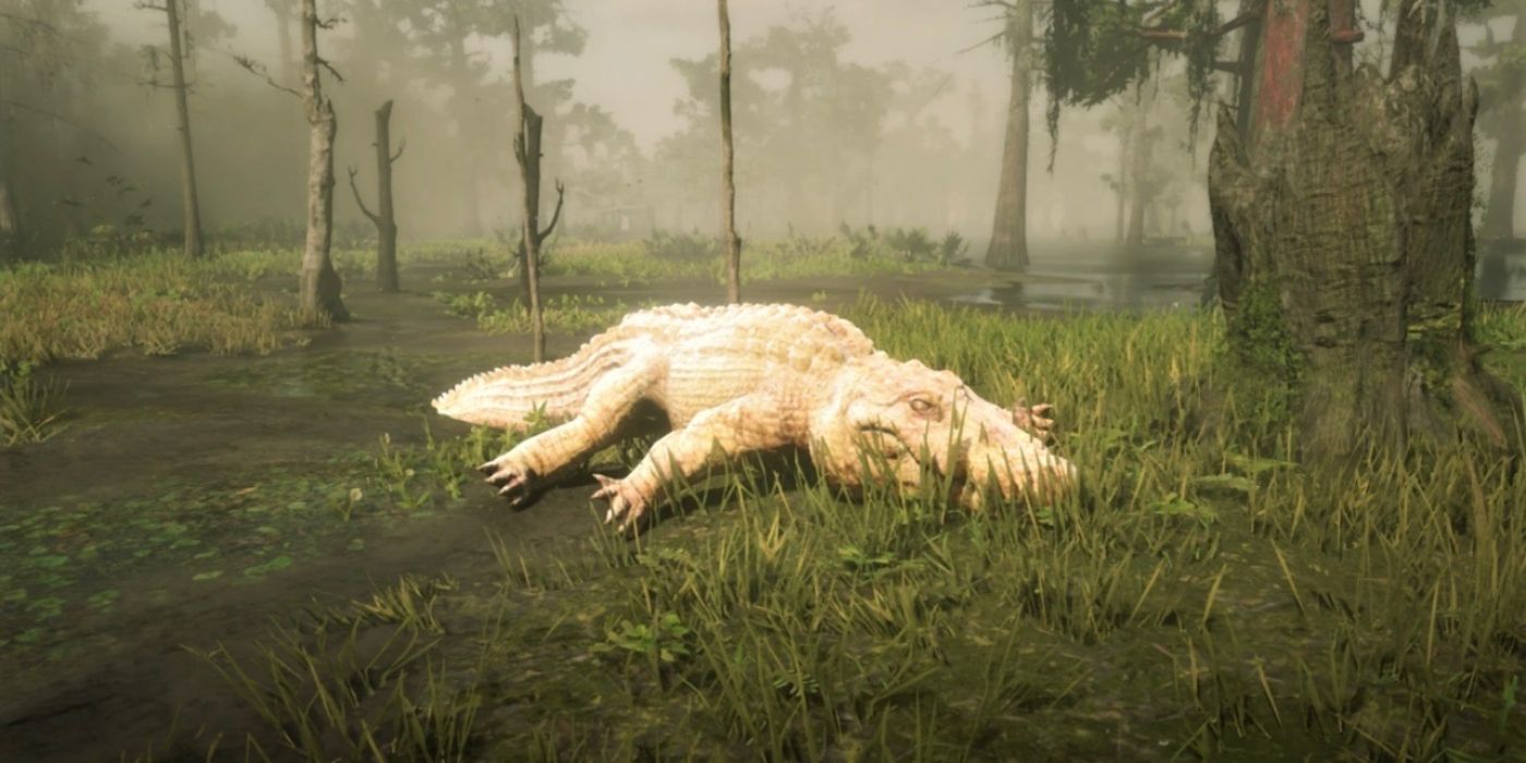 10 Coolest Red Dead Redemption 2 Animals To Hunt Or Catch