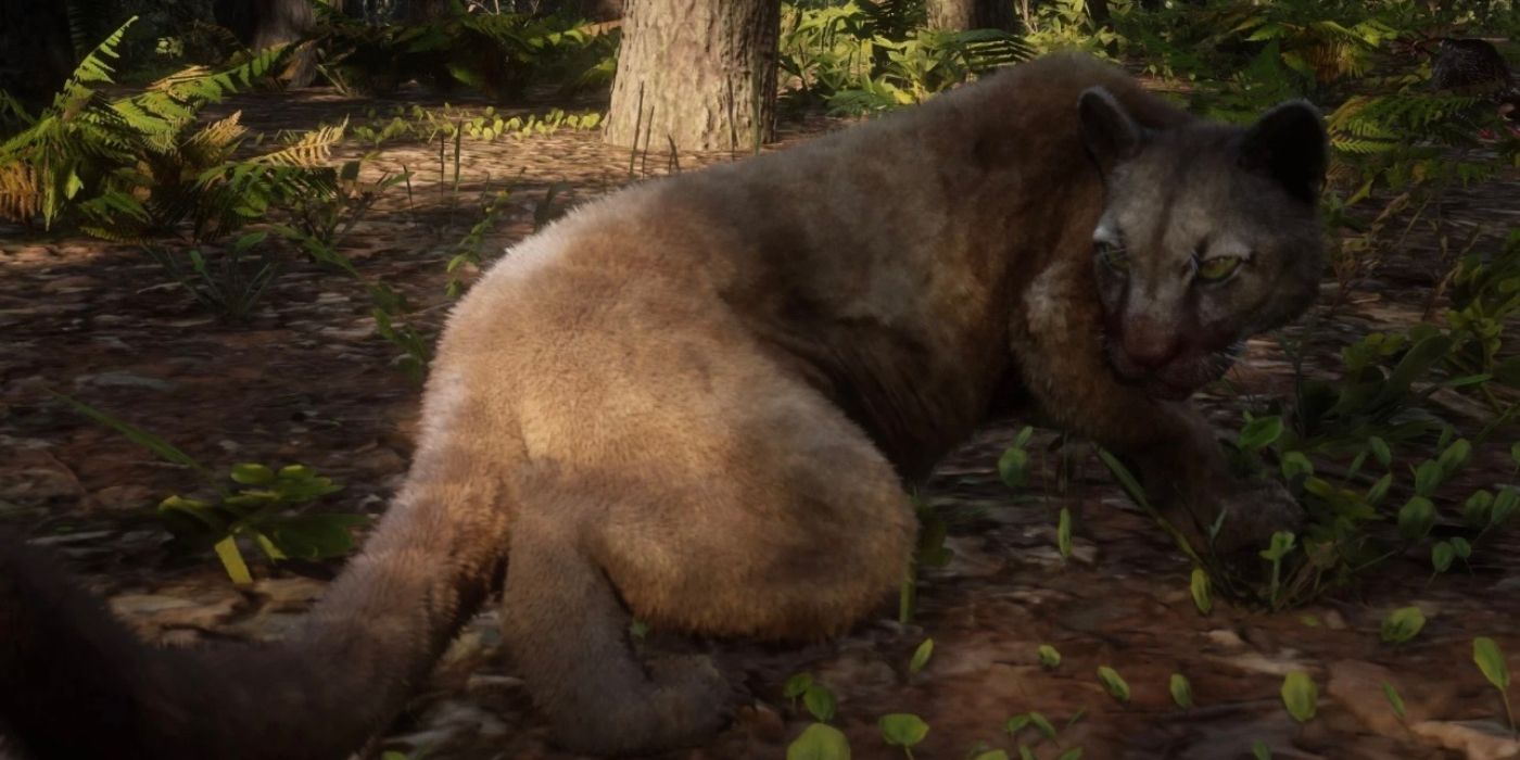 A Panther looking over its right shoulder in Red Dead Redemption 2