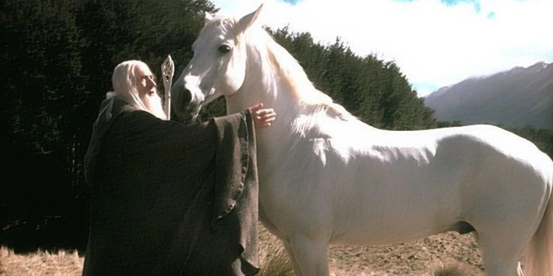 Explicación del bastón de Gandalf en los anillos de poder