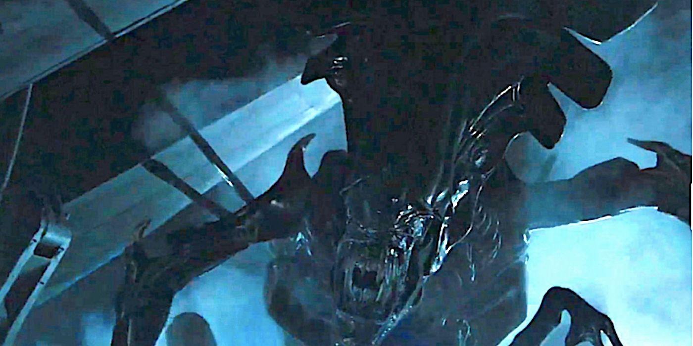 The Alien Canon Will Get A Lot More Complicated If Romulus Sequel Repeats This James Cameron Aliens Strategy