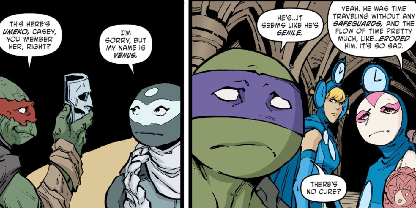 TMNT Reveals Raphael's Heart-Breaking Final Fate