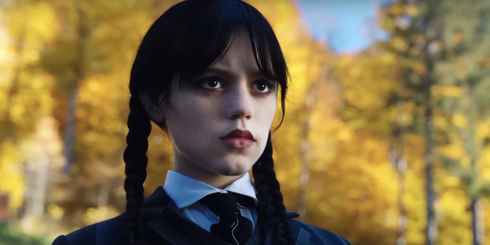 I'm Already Worried About Wednesday's Future Beyond Season 2