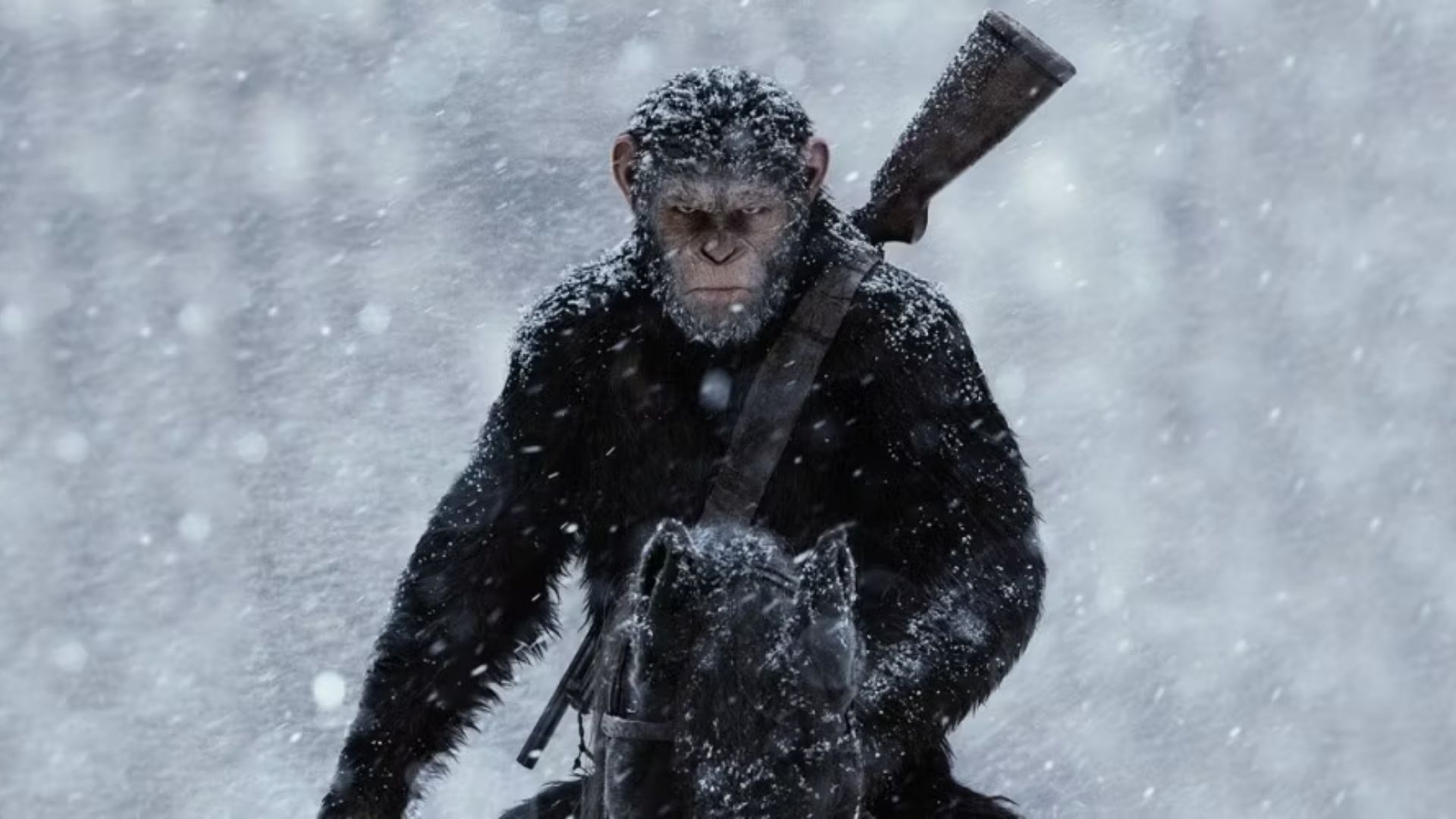 Why Kingdom Of The Planet Of The Apes' Rotten Tomatoes Score Can't Compete With The Last 2 Movies