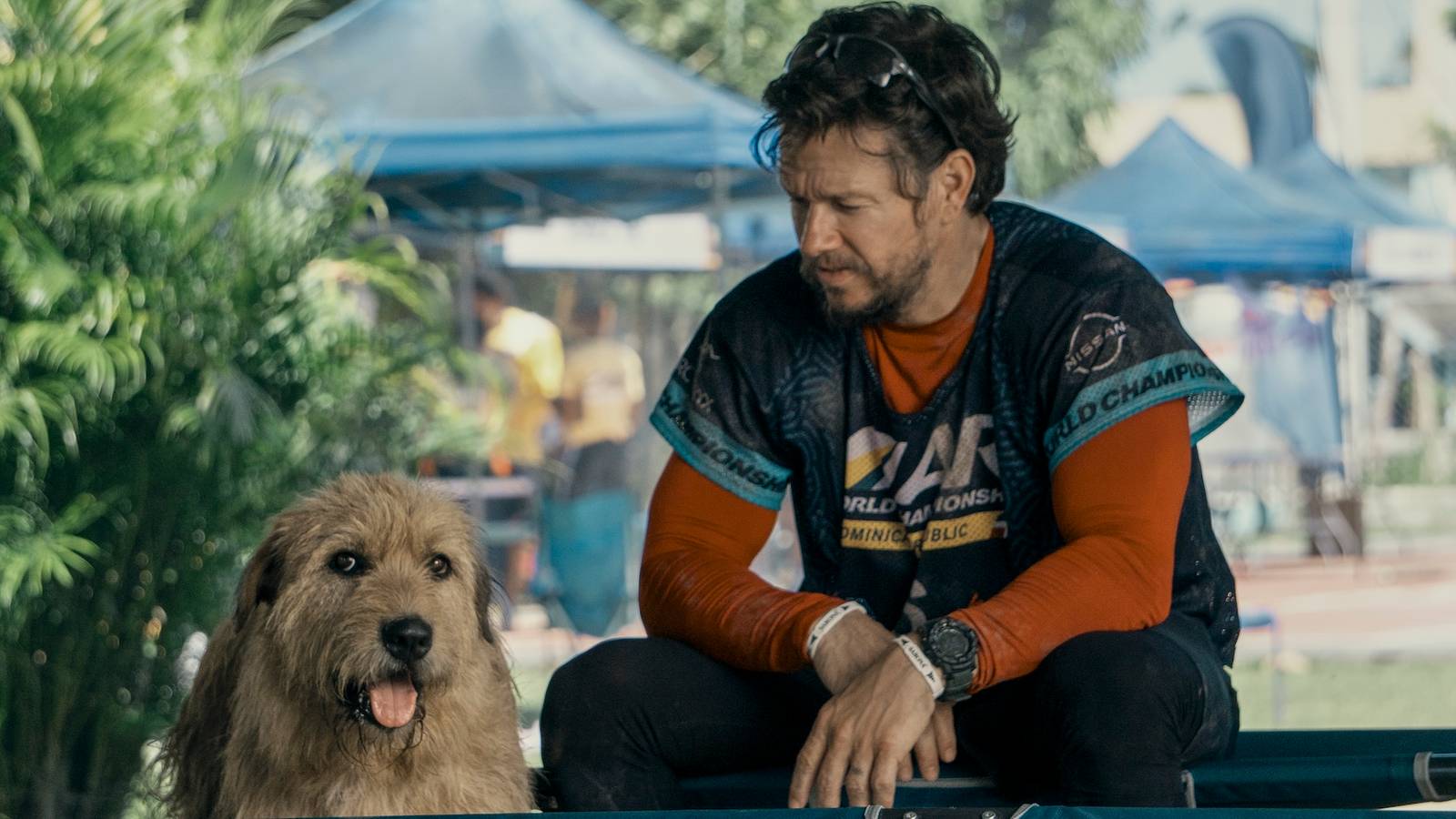 Arthur The King Review: Mark Wahlberg Leads A Family-Friendly Adventure ...