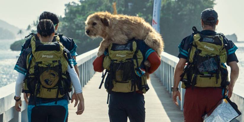 Where To Watch Arthur The King: Showtimes & Streaming Status