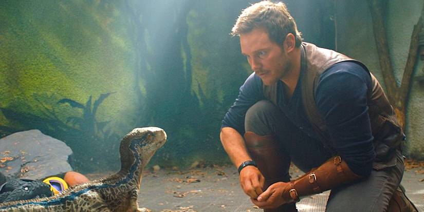 Chris Pratt's Owen stares at a small dinosaur in Jurᴀssic World Dominion.