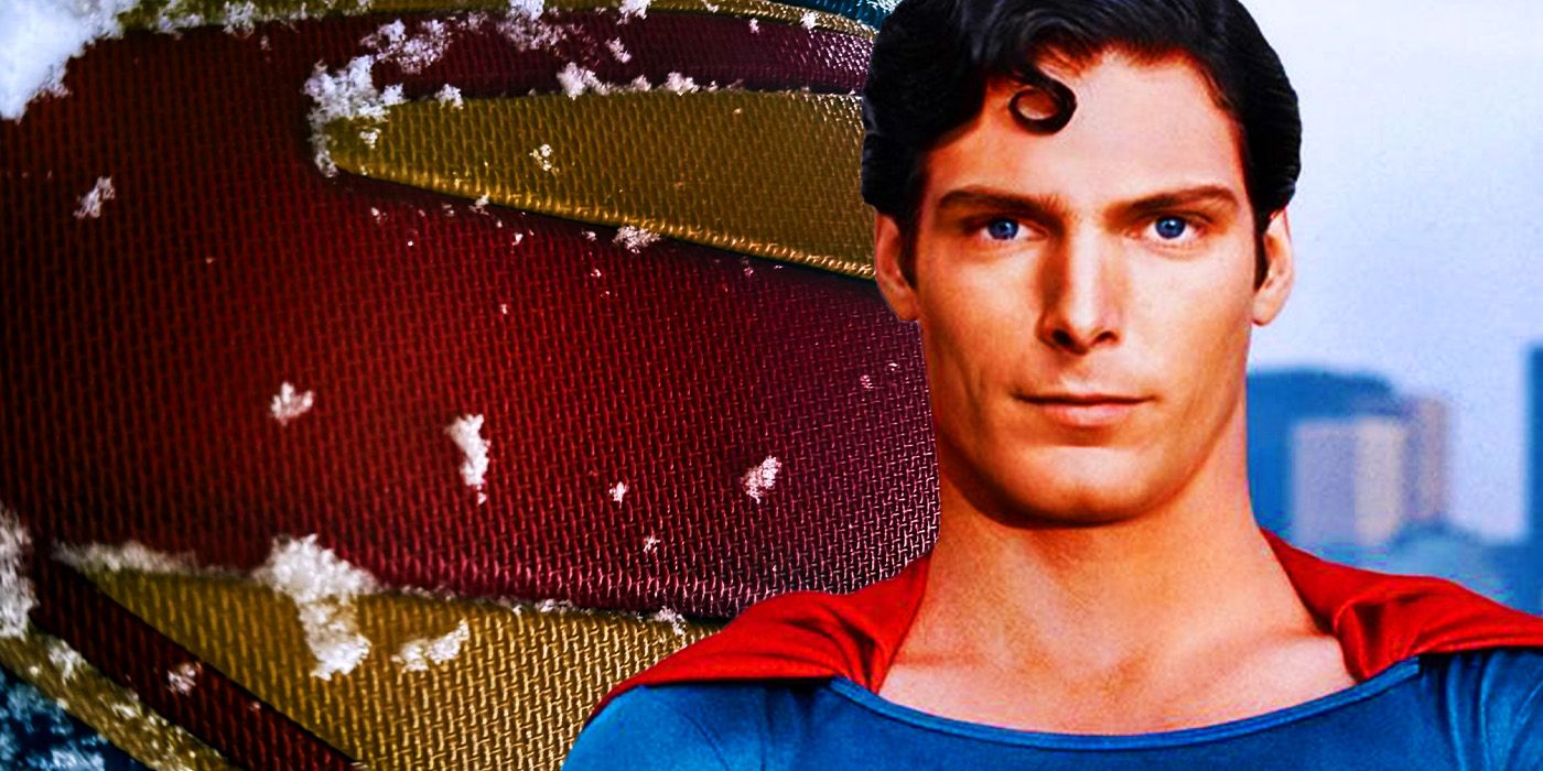 10 DC Casting Choices That Saved Their Movies From Being Completely Forgettable