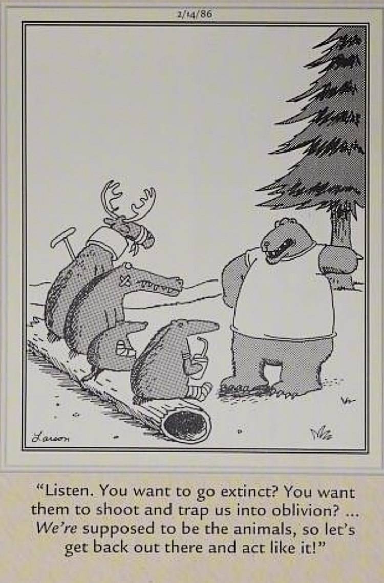 Human vs Animal: 10 Far Side Comics Where the Animal Always Wins