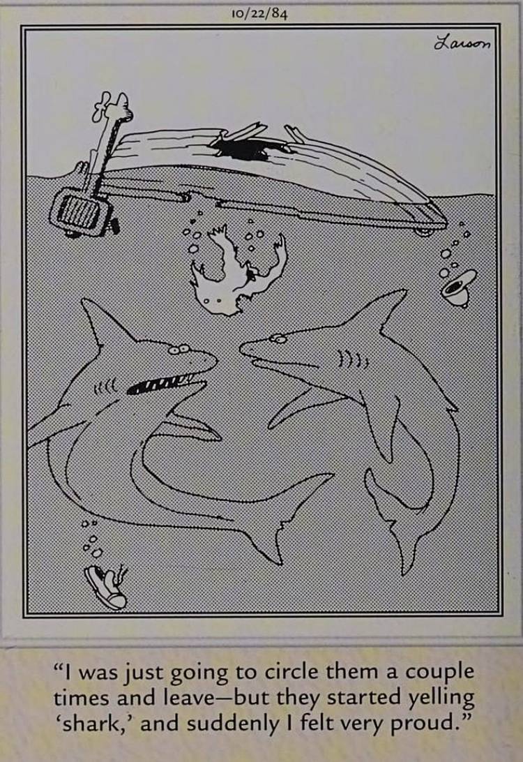Far Side, proud shark eats boater