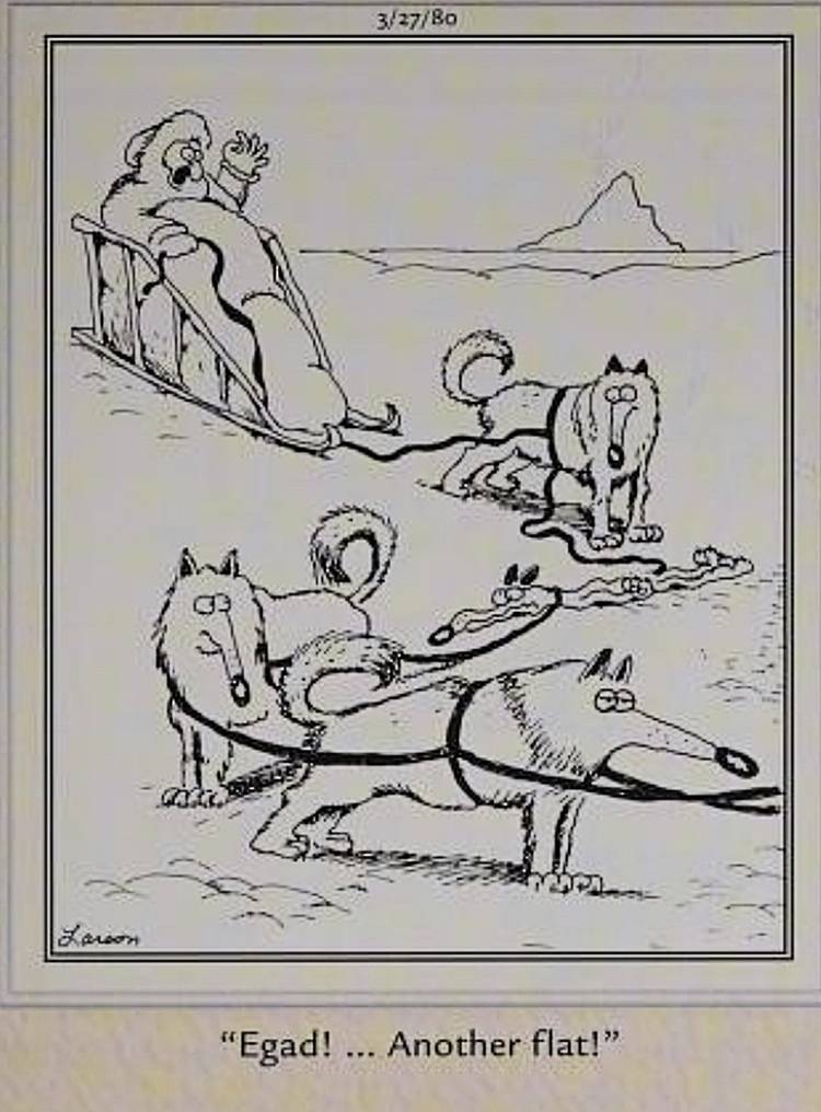 Far Side, sled dog goes flat
