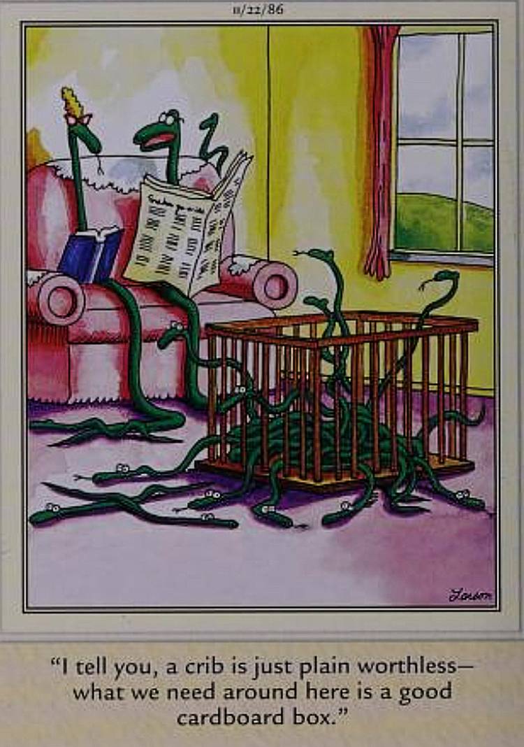 11 Far Side Comics That Prove Creator Gary Larson Was Obsessed With Snakes