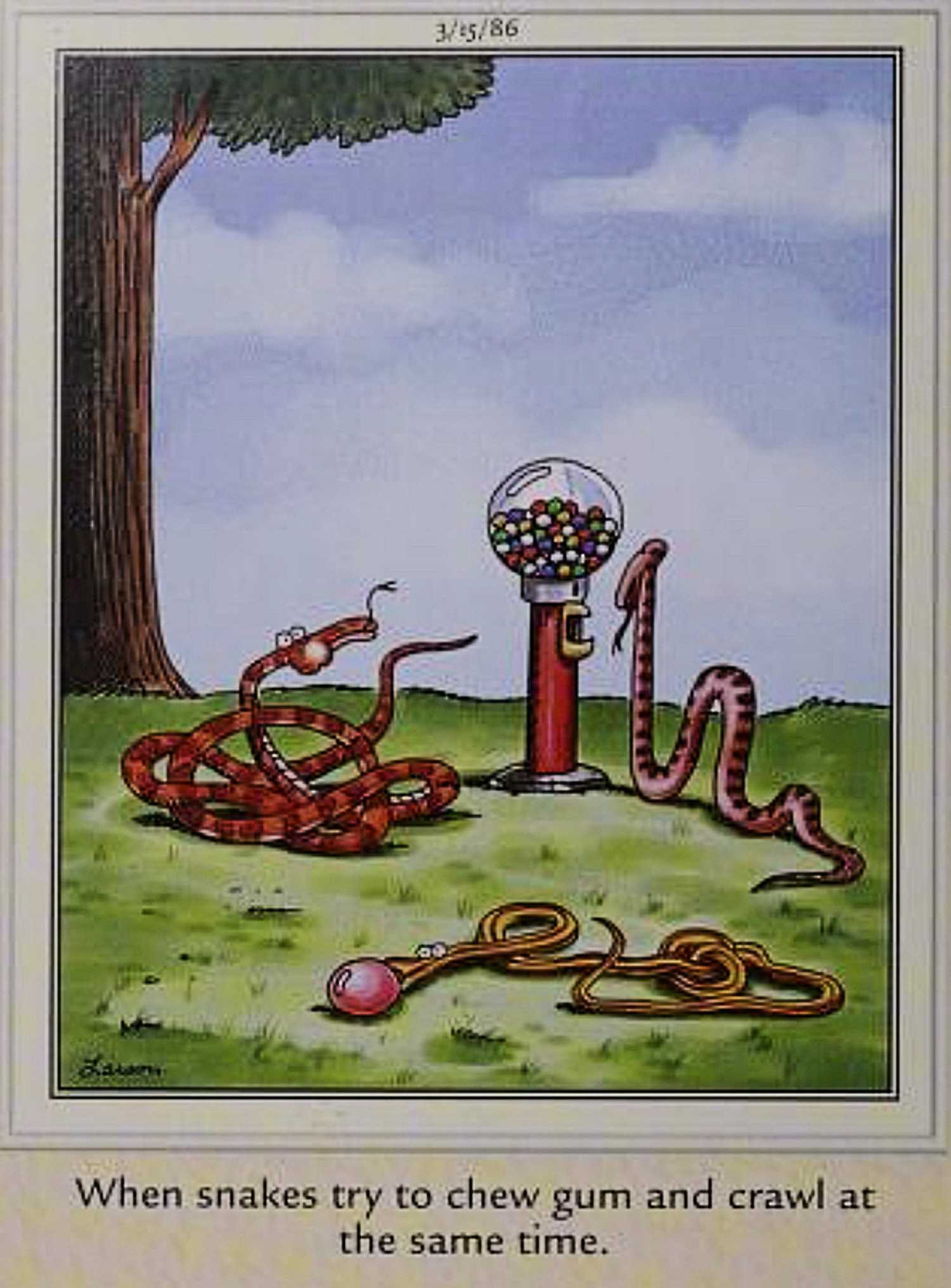 The Best Far Side Comic from Every Year of Gary Larson’s Iconic 15Year Run