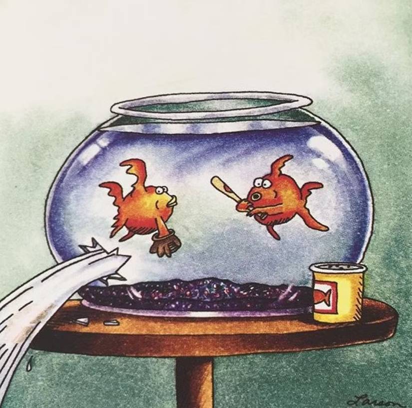 Far Side, Goldfish playing baseball in their bowl accidentally break it, spilling the water out and dooming them