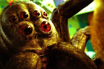 Hunus Spaceman Spider Spaceman Summary, Trailer, Cast, Where to Watch and More